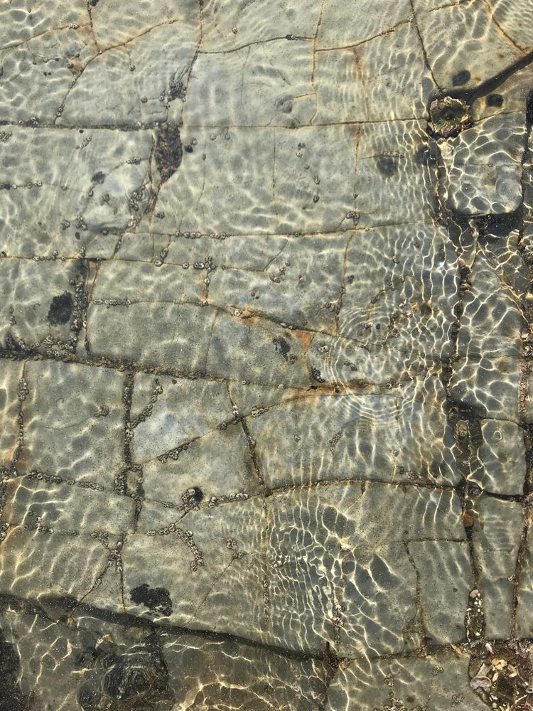 Ocean tide pool with gray-green rocks and water ripples