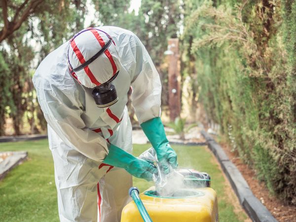 Fumigation specialist putting package into yellow device