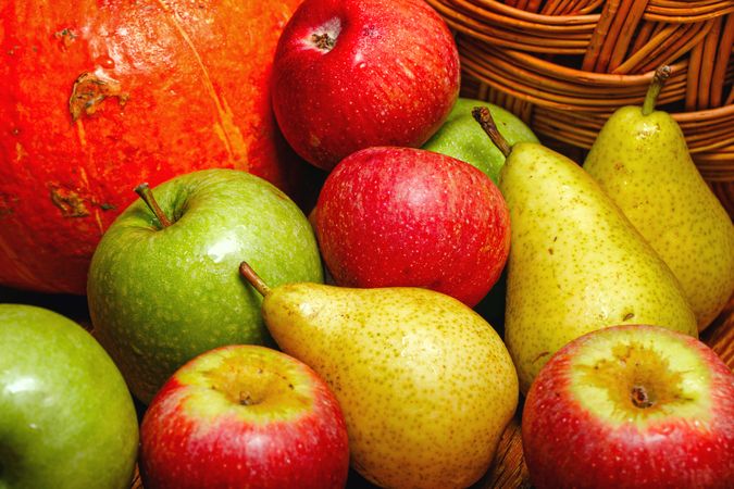 Autumnal fruit and squash
