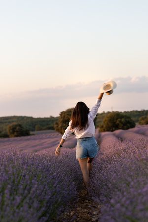 Anonymous woman walking in lavender field