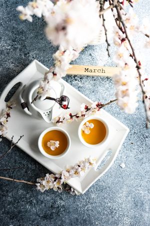Spring floral concept with apricot blossom surrounding tea set on trey