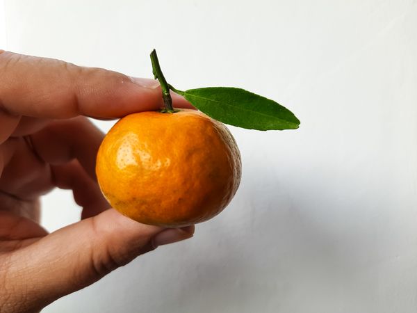 Hand Holding Fresh Small Orange with Green Leaf