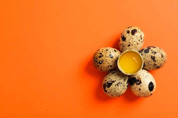 Quail eggs and half with yolk on color background, space for text