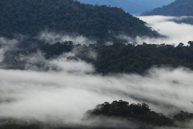 Clouds and mist over Taman Negara National Park, seen from the viewpoint of Bukit Terisek, Malaysia