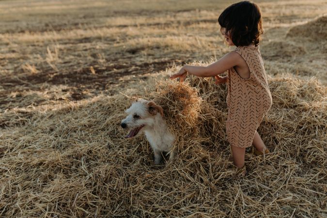 Girl playing with dog putting hay on its back