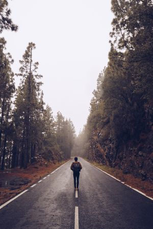 Traveler walking on empty road in woods
