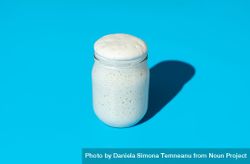 Sourdough starter in a jar, minimalist on a blue background 5o8m84