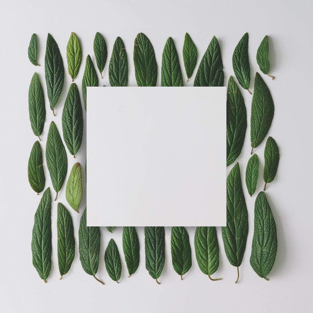 Green in pattern on light background with paper card