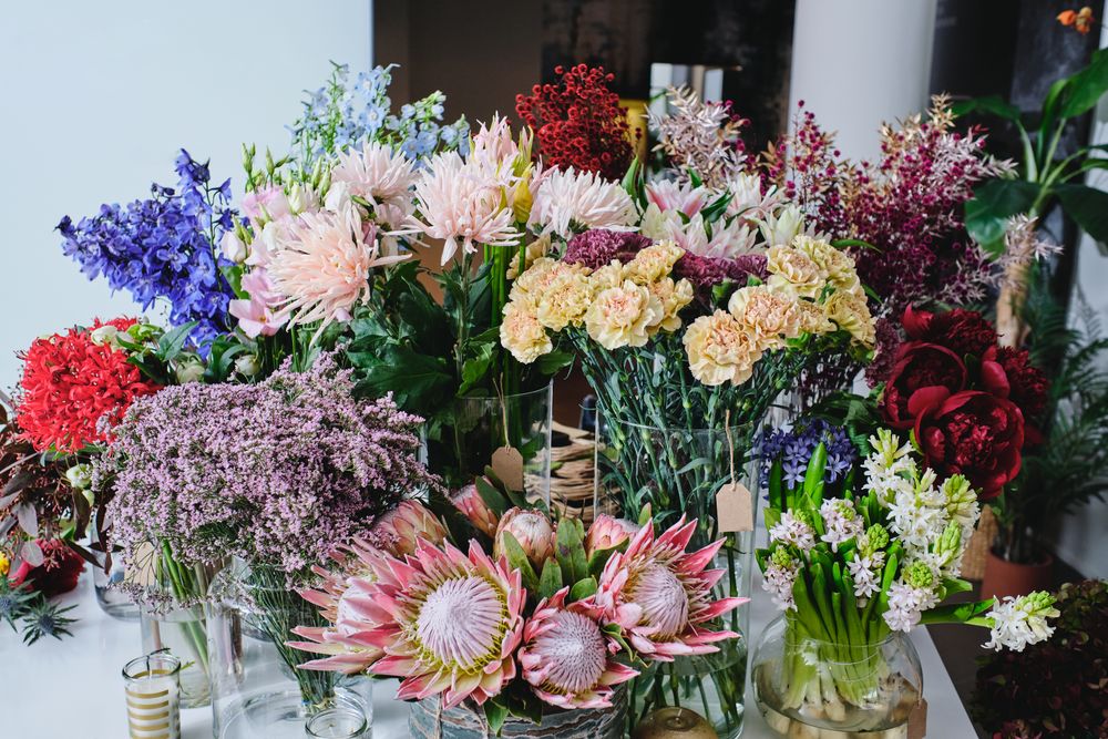 Assorted blooming colorful flowers in glass vases