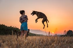 Female playing with dog at hilly area in evening