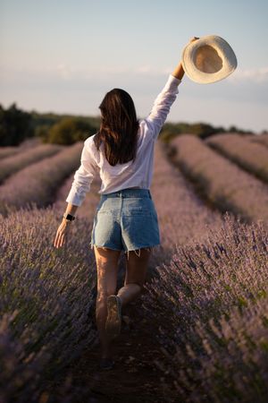 Anonymous woman walking in lavender field