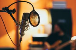 Professional studio microphone