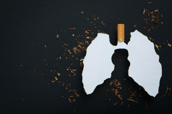 Ripped paper in lung shape with cigarette and tobacco on dark background with copy space