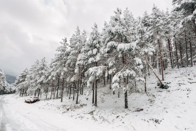 Winter snowy empty country road