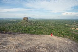 Tourist against solitary rock in middle of green forested plain under clear sky in summer