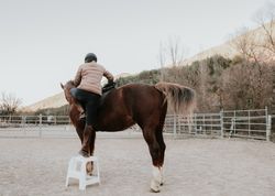Anonymous woman mounting horse on ranch