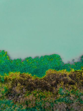 Overhead shot showcasing nature’s beauty for Earth Day.