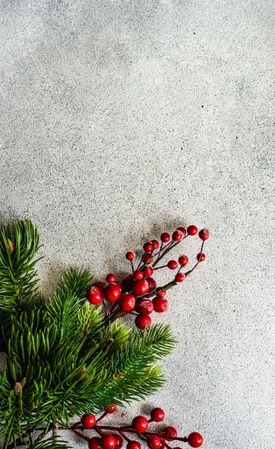 Christmas scene of holly branch on concrete background