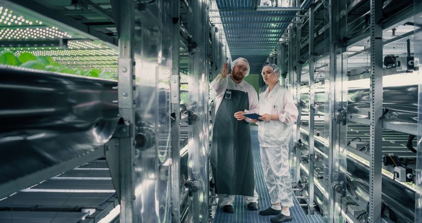Agricultural Engineer and Biologist Having a Conversation at a Vertical Farm, Discussing Production Optimization at a Modern Hydroponics Facility. Gardener Providing Technical Advice to Employee