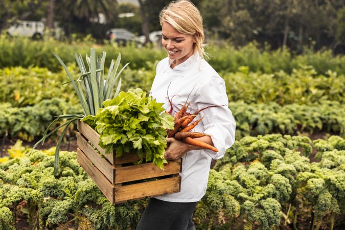 Smiling young chef carrying a crate full of freshly picked carrots, leek and greens on a farm
