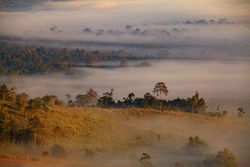 Fog in morning sunrise at Khao Takhian Ngo View Point at Khao-kho Phetchabun,Thailand
