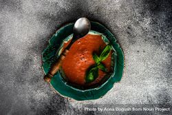 Top view of traditional Spanish tomato soup Gazpacho served with basil in green bowl with copy space bGRoDY