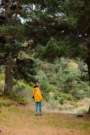 Person in yellow raincoat walking in forest