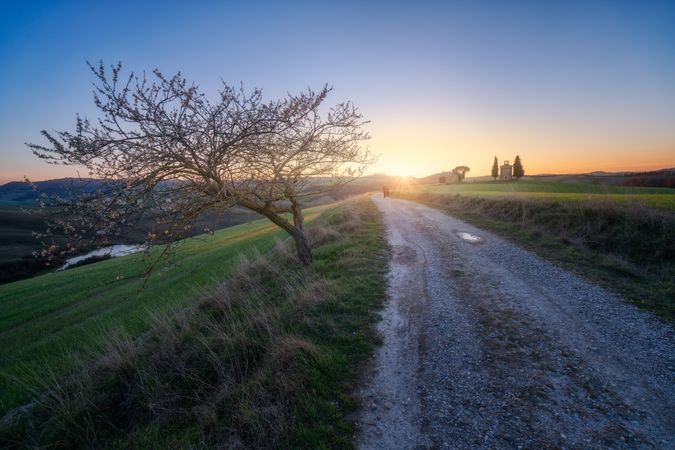 Road in countryside