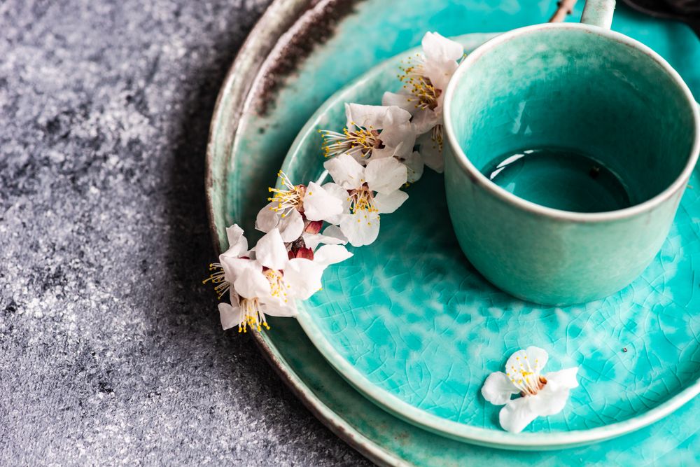 Spring floral concept with top view of apricot blossom branch on teal plates on grey counter