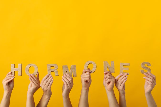 The word hormones in human hands, on a light background.