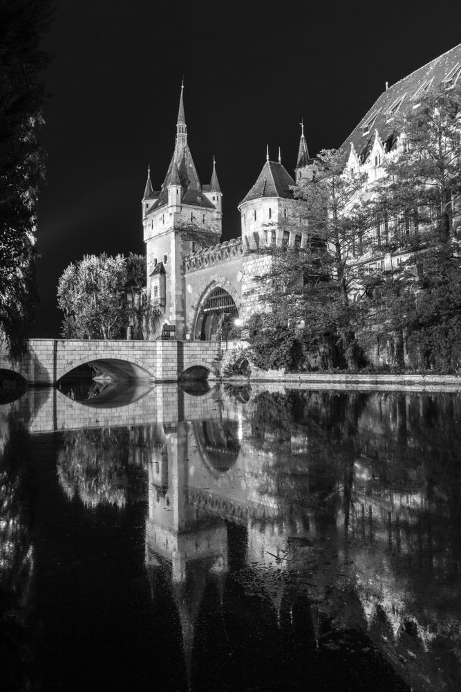 B&W shot of Vajdahunyad Castle in Budapest