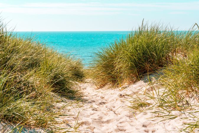 Marram grass dunes on the Sylt island and the North Sea in the background