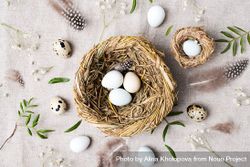 Top view of birds nest with eggs on beige fabric 5qzMo4