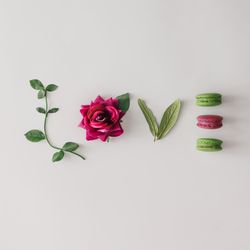 Word LOVE made out of flower, leaves and macarons