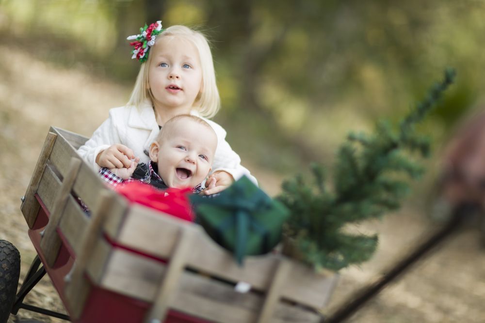 Baby Brother and Sister Pulled in Wagon with Christmas Tree
