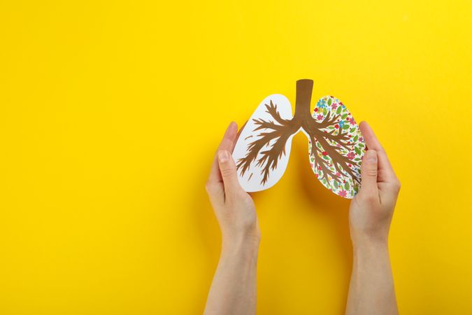 Hands holding paper lungs with painted bronchus and flowers with copy space