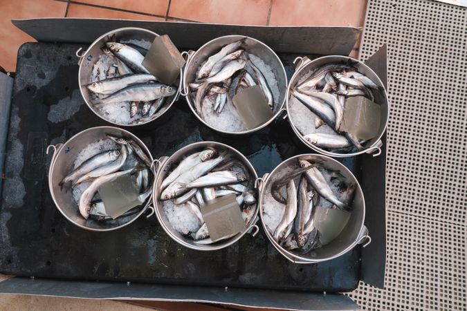 Fresh delicious fish in metal buckets with ice