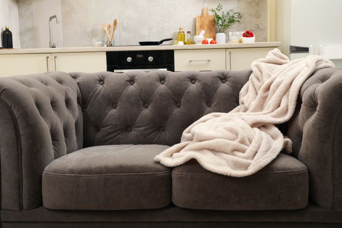 Sofa against cozy modern kitchen interior background