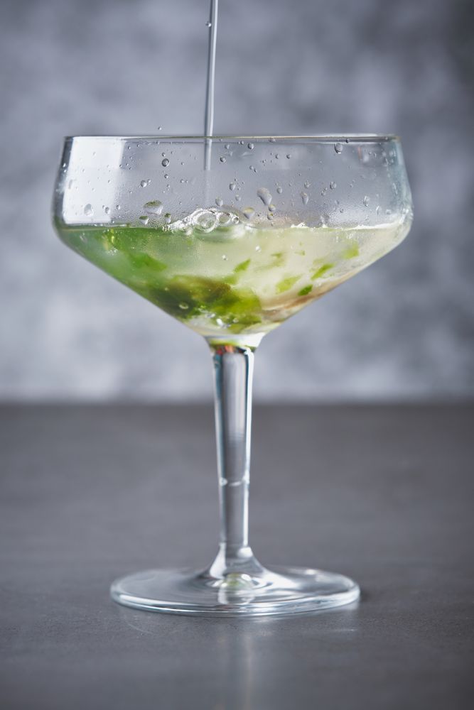 Refreshing martini cocktail with fresh oysters