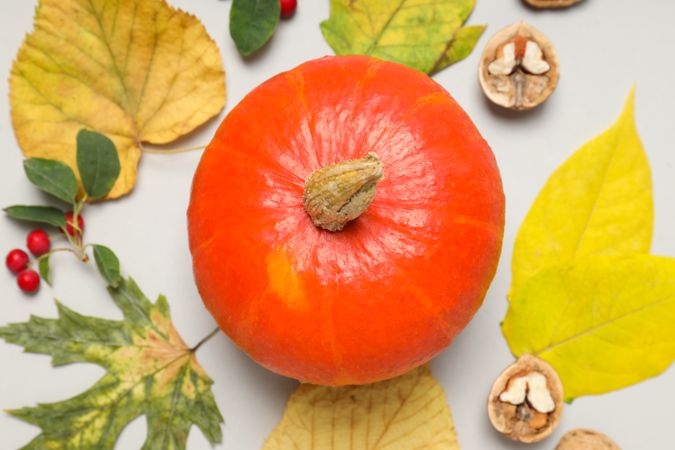 Concept of Autumn vibe food, Pumpkin, Pumpkin seeds