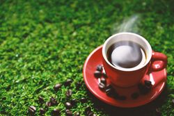 Top view of small red espresso cup on grass patch, copy space