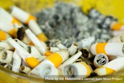 Close up of cigarette butts in ashtray 4BamN3