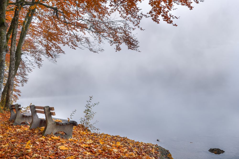 Benches on a foggy lake shore in autumn decor
