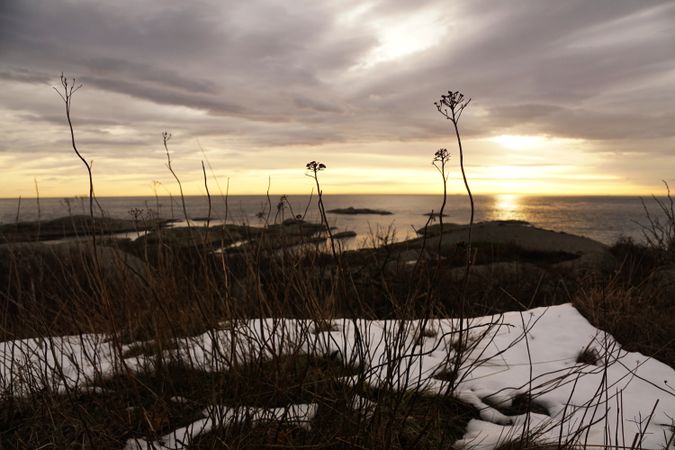 Bare tree silhouette at snowy riverside in sunset