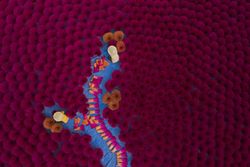 Top view of Vietnamese workers surrounded by purple incense sticks in Quang Phu Cau, Hanoi, Vietnam