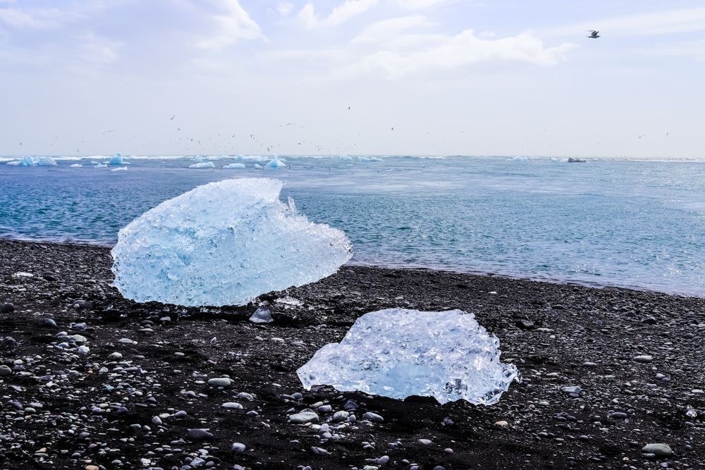 Diamond Beach in Iceland with blue icebergs melting on sand and ice glistening with sunlight.