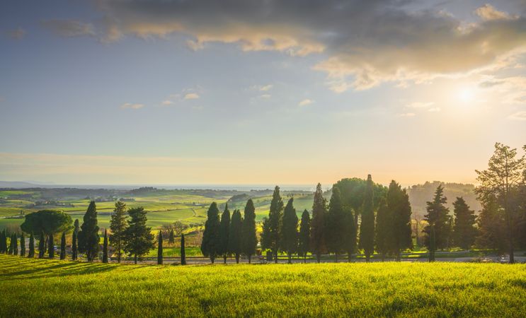Sunset landscape in Maremma, rolling hills and cypress trees road, casale Marittimo,Tuscany, Italy