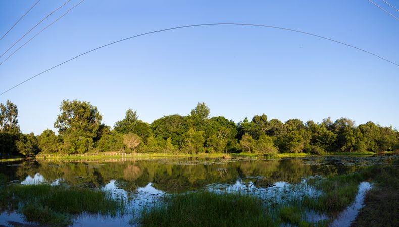 Karura forest landscapes field waterfalls ponds lakes vegetation Kenya East Africa