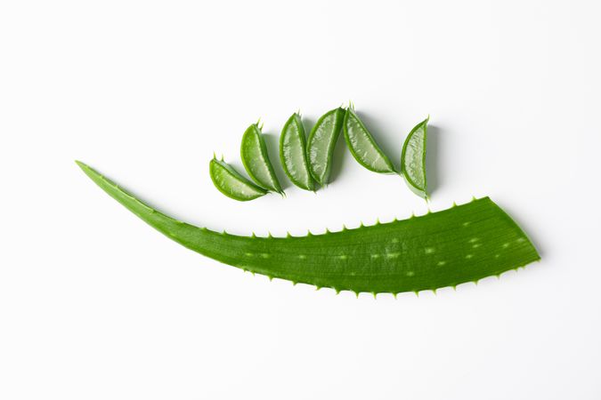 Aloe vera leaf and slices on plain background, space for text. Natural treatment