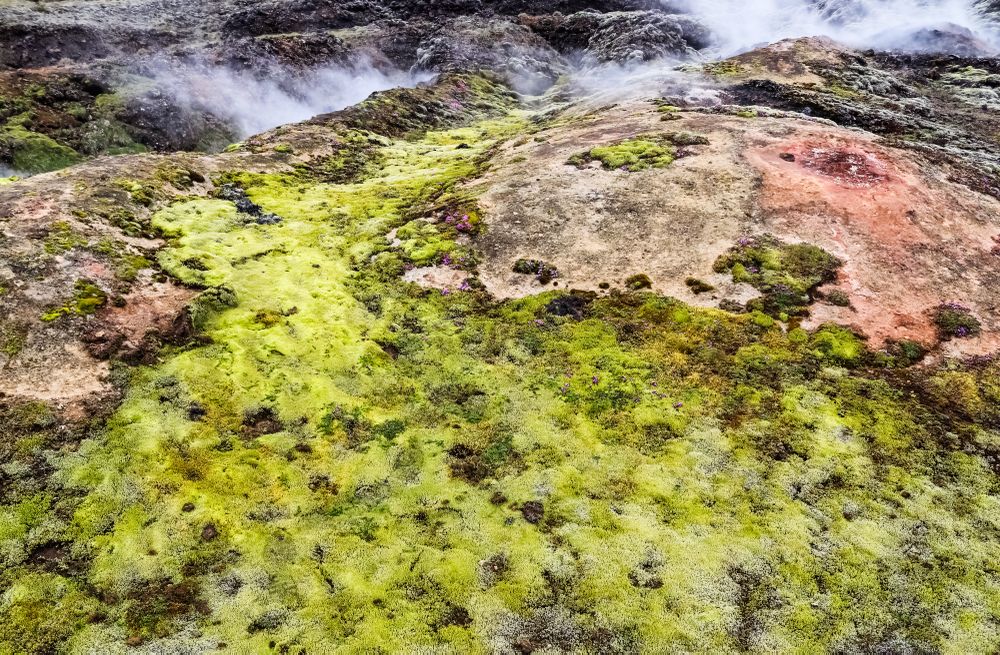 Geothermal area recovering with colorful moss and fumaroles in iceland